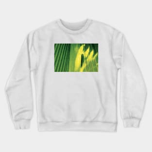 Shadow of a butterfly Crewneck Sweatshirt